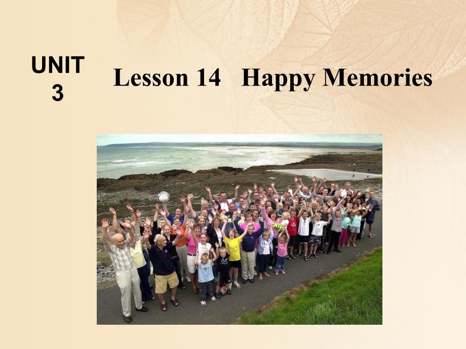 八年级英语上册 unit 3 families celebrate together lesson 14 happy memories教学课件 （新版）冀教版_第3页