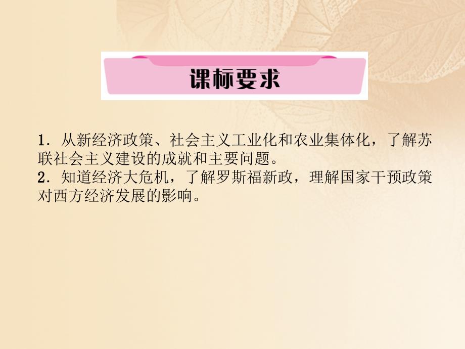 四川省宜宾市2018年中考历史总复习第一编教材知识梳理第3部分世界史第5讲对生产关系的调整课件_第2页