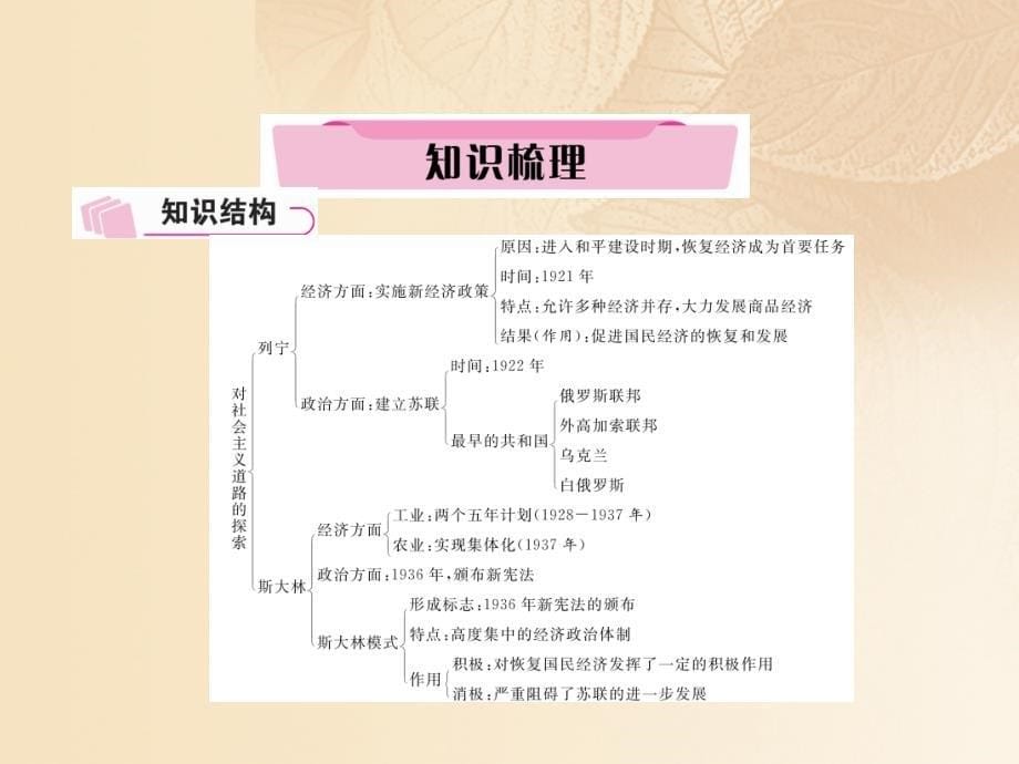 四川省宜宾市2018年中考历史总复习第一编教材知识梳理第3部分世界史第5讲对生产关系的调整课件_第5页