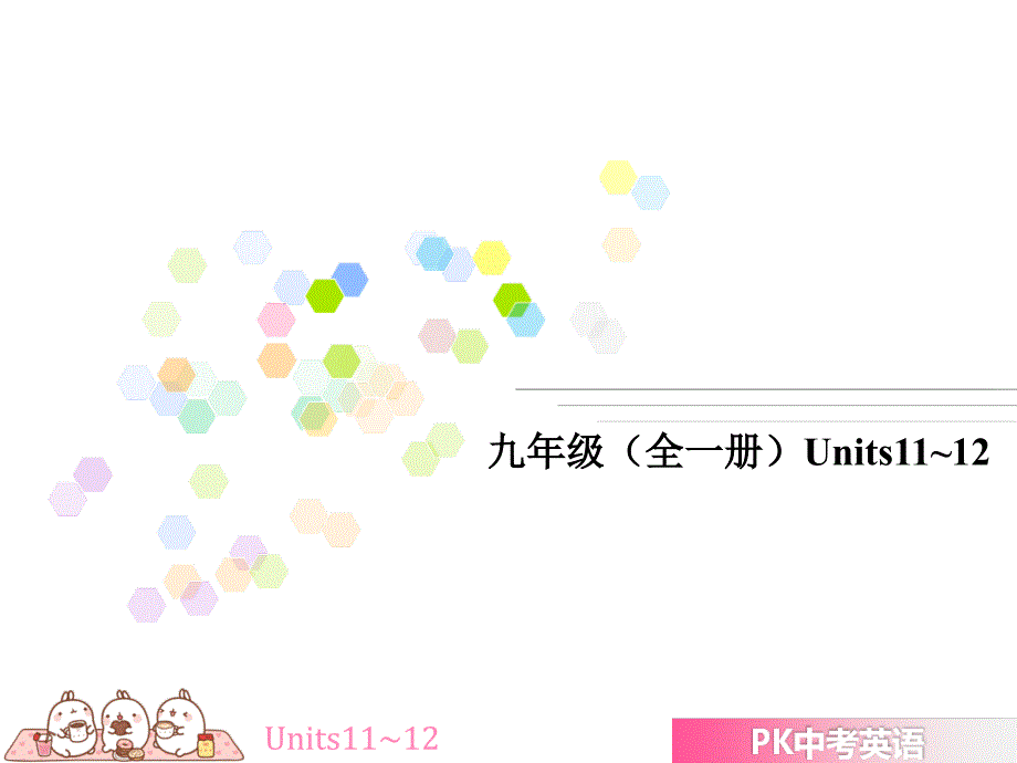 2017年江西中考英语复习课件 九年级全一册units11~12_第3页