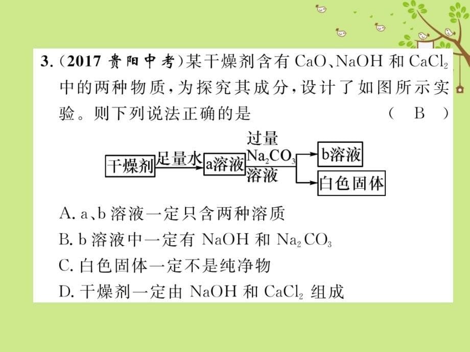 中考化学复习 专题3 物质的推断题（精练）课件_第5页