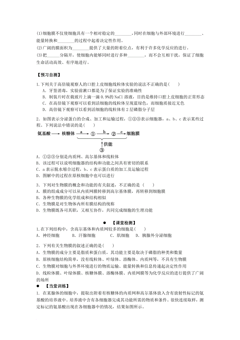 广东省惠阳区高中生物第三章细胞的基本结构3_2细胞器2学案新人教版必修1_第2页