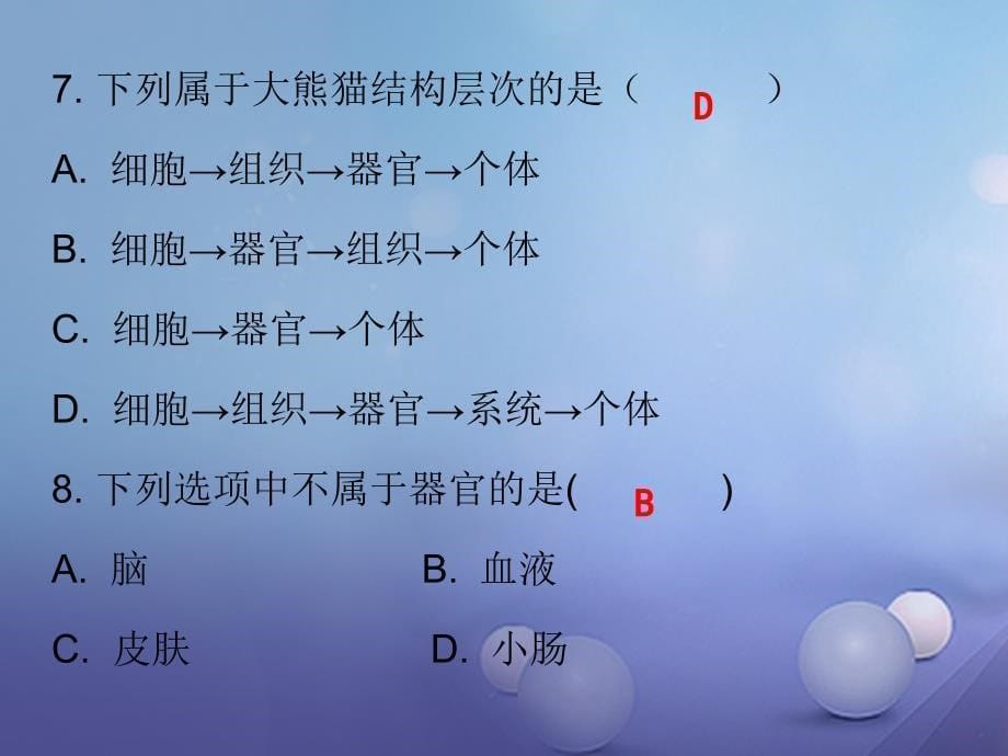 2017秋七年级生物上册第二单元第二章第二节动物体的结构层次课堂十分钟课件新版新人教版_第5页