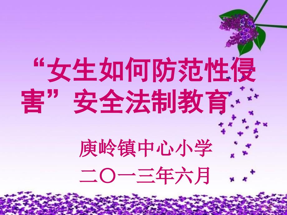 庾岭小学“女生如何防范性侵害”安全法制教育_第2页