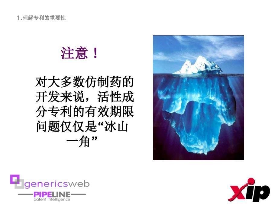 如何在仿制药开发过程中规避专利侵权--xipptyltd执行经理&amp;leightonhoward先生_第5页