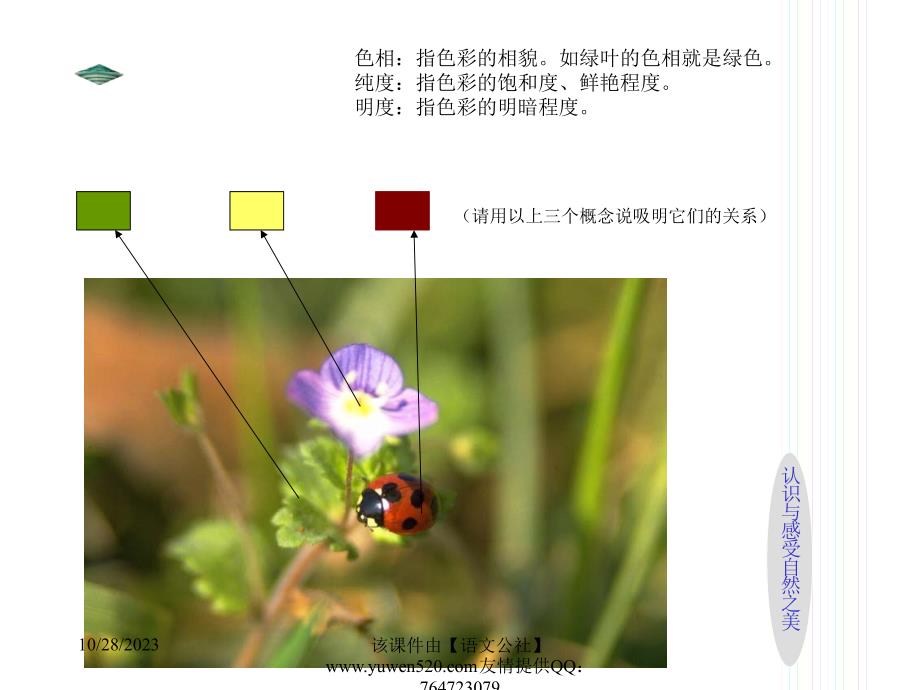 美术课件_第4页