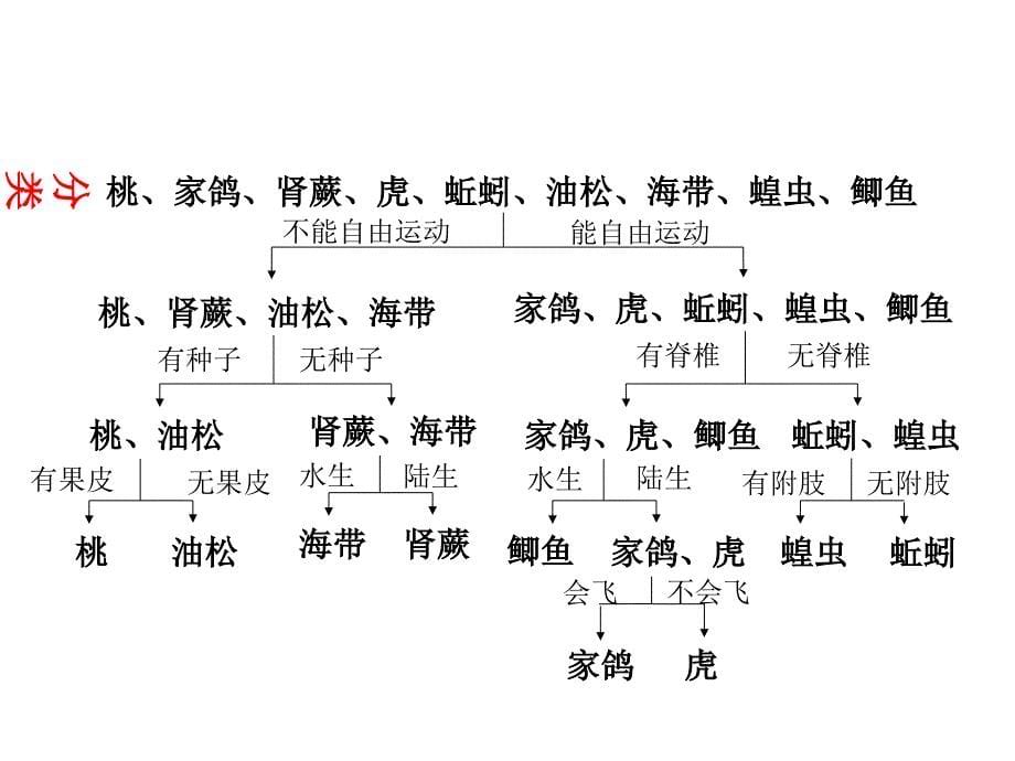 2017年中考生物复习课件：8.第四节 生物的多样性_第5页