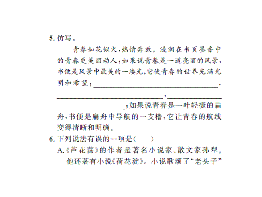 2017届中考语文（人教）总复习课件 第三讲  作业课件_第4页