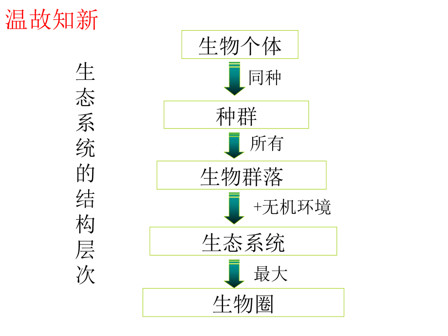 生态系统的结构经典课件_第3页