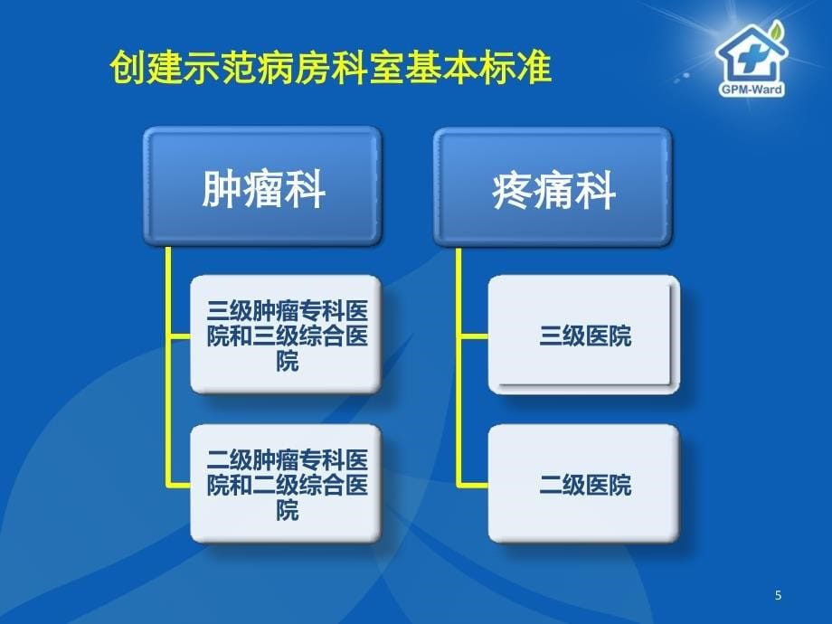 癌痛规范化治疗病房现场审核标准_第5页