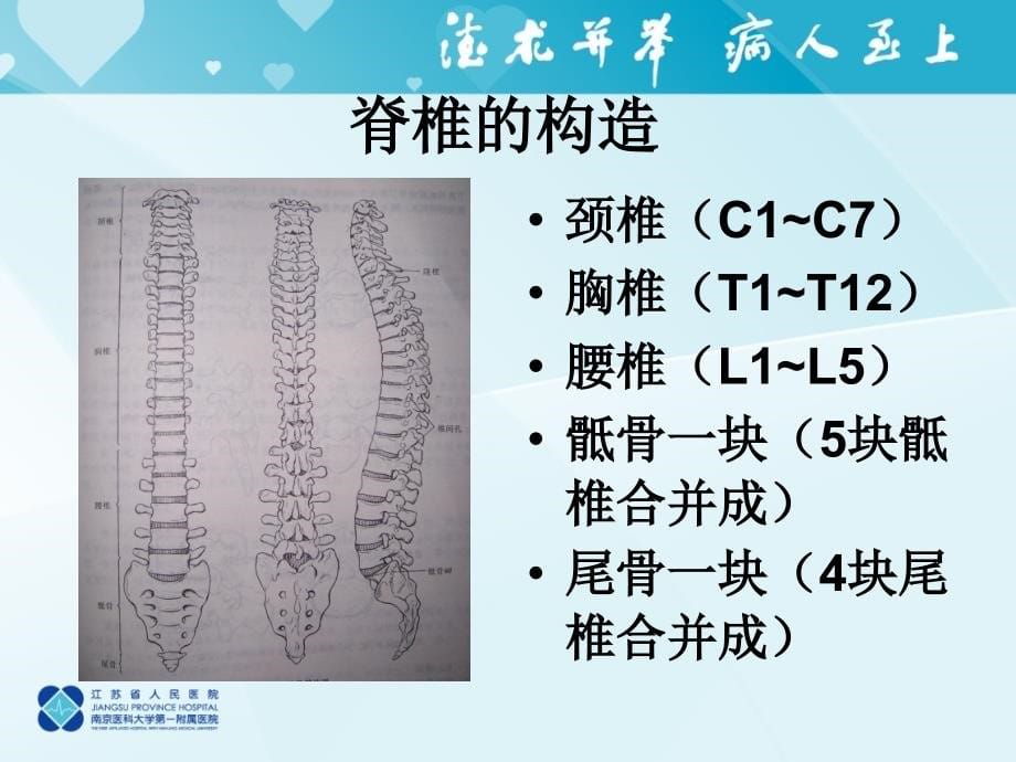 严重脊柱损伤病人护理1_第5页