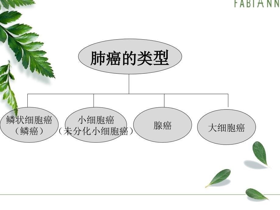 肺癌围手术期护理1_第5页