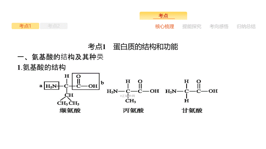 2019届高三生物人教版一轮课件：第1单元 走近细胞 组成细胞的分子 1.3 生命活动的主要承担者——蛋白质_第3页