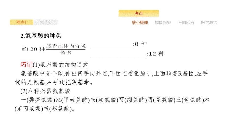 2019届高三生物人教版一轮课件：第1单元 走近细胞 组成细胞的分子 1.3 生命活动的主要承担者——蛋白质_第5页