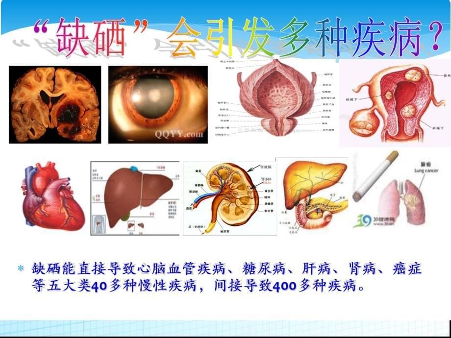 硒课件最新版_第5页