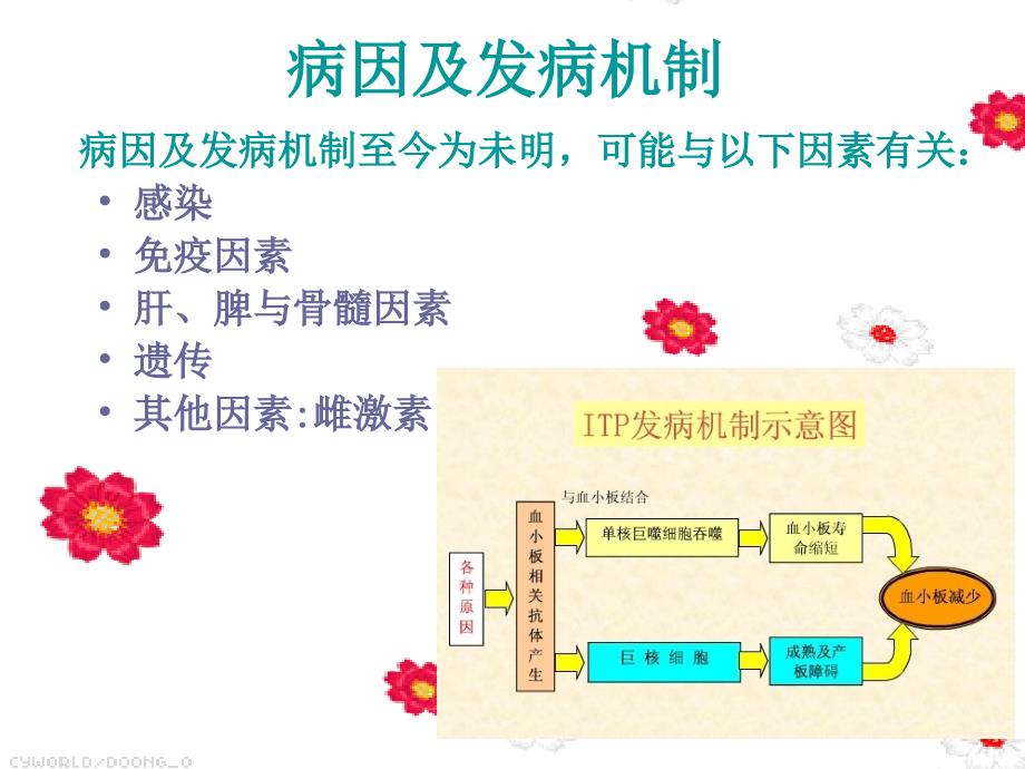 特发性血小板减少性紫癜患者护理查房_第3页