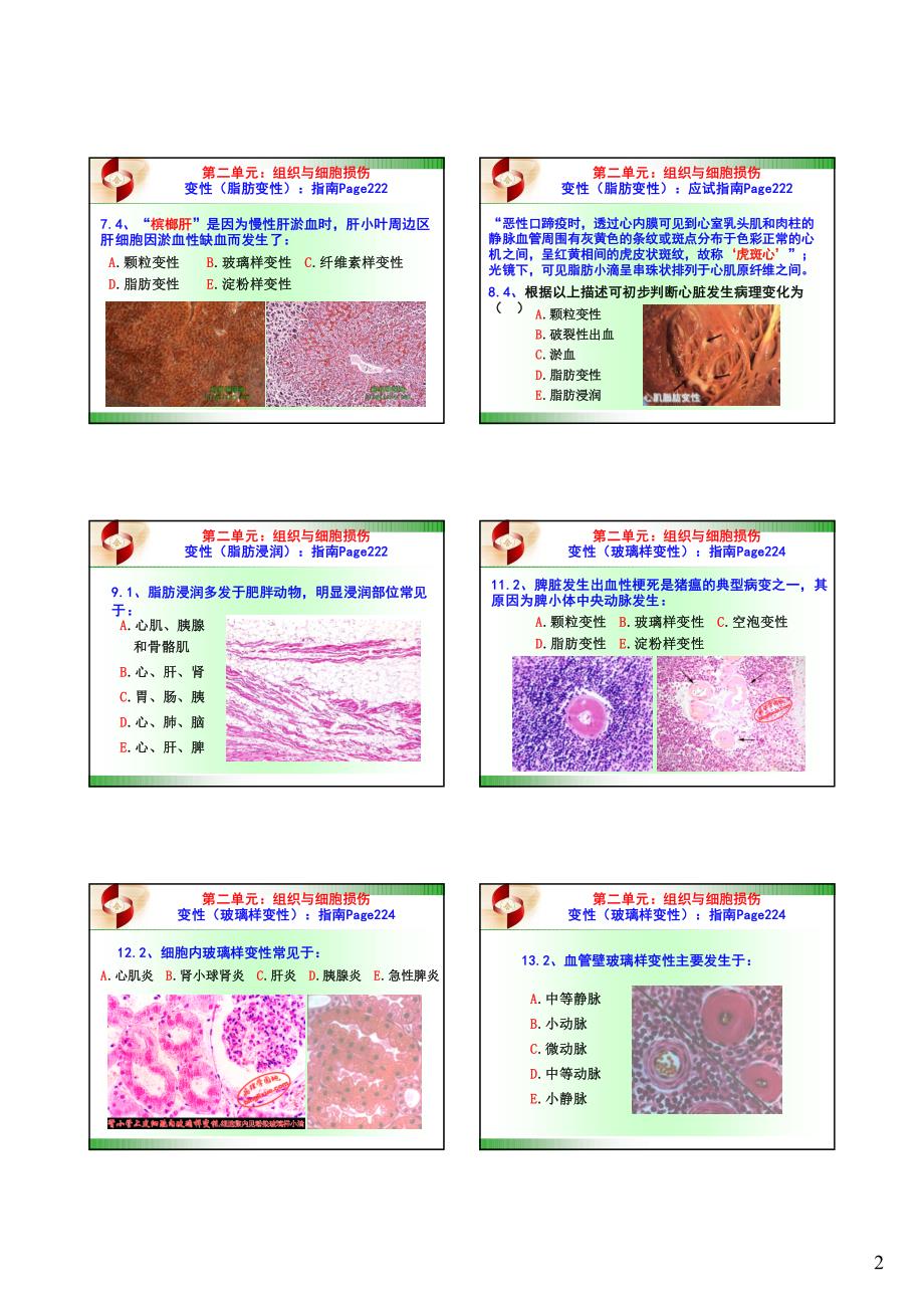 深圳培训：执业兽医--2012年--动物病理学_第2页