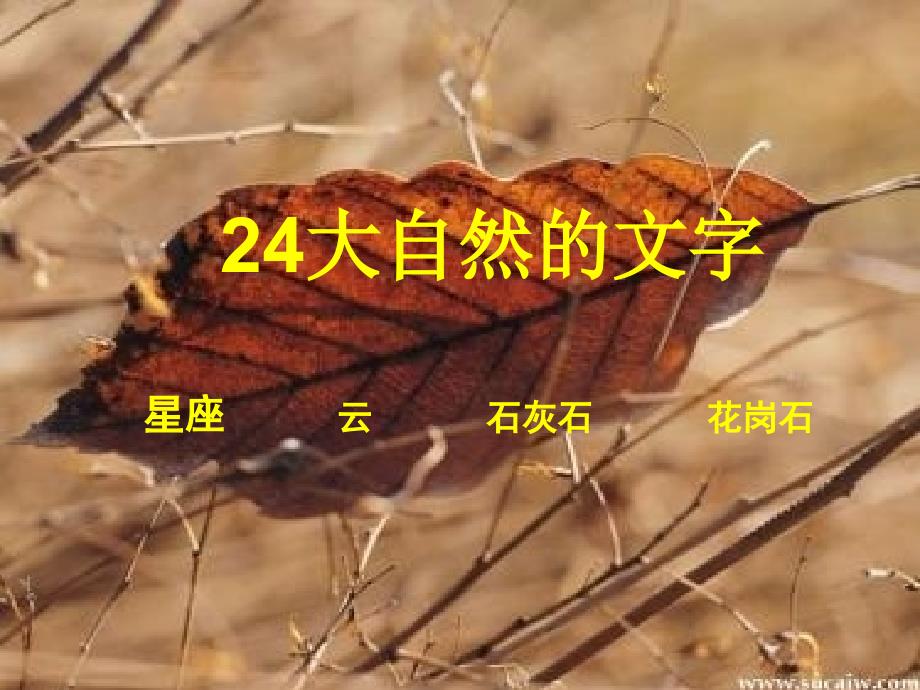 大自然的文字2_第4页