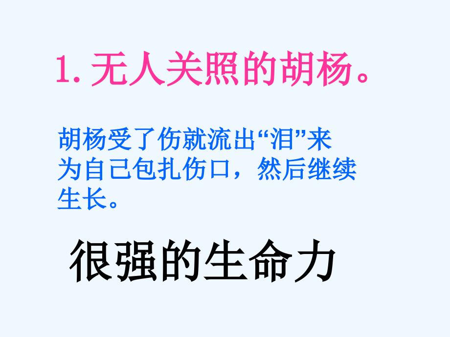 《胡杨赞》课件辛店镇实验学校_第4页