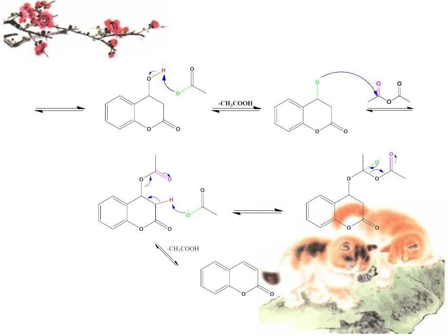 碳负离子机理反应_第5页