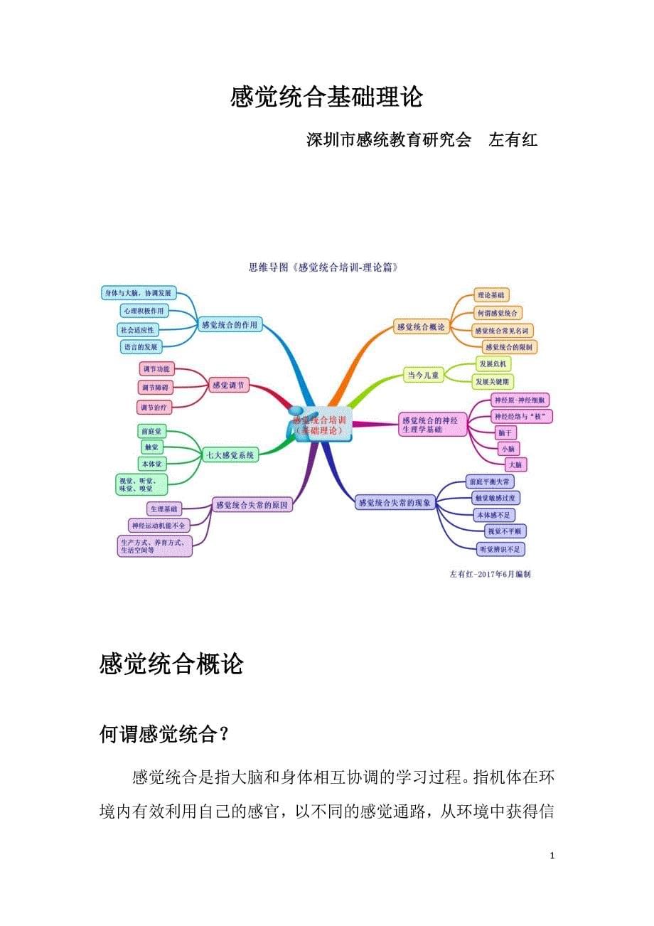 2018感觉统合高级教师培训讲义(第四届)_第5页