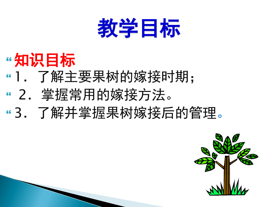 t字型芽接与嵌芽接技术_第4页