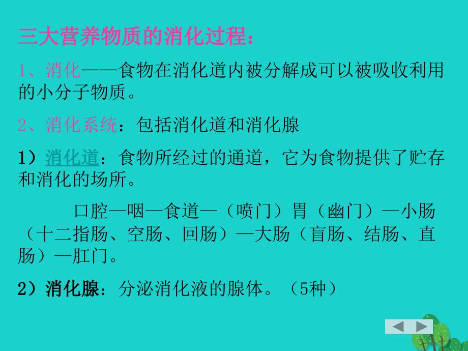 高中生物第一册第4章生命的物质变化和能量转换4_4生物体内营养物质的转换课件3沪科版_第3页