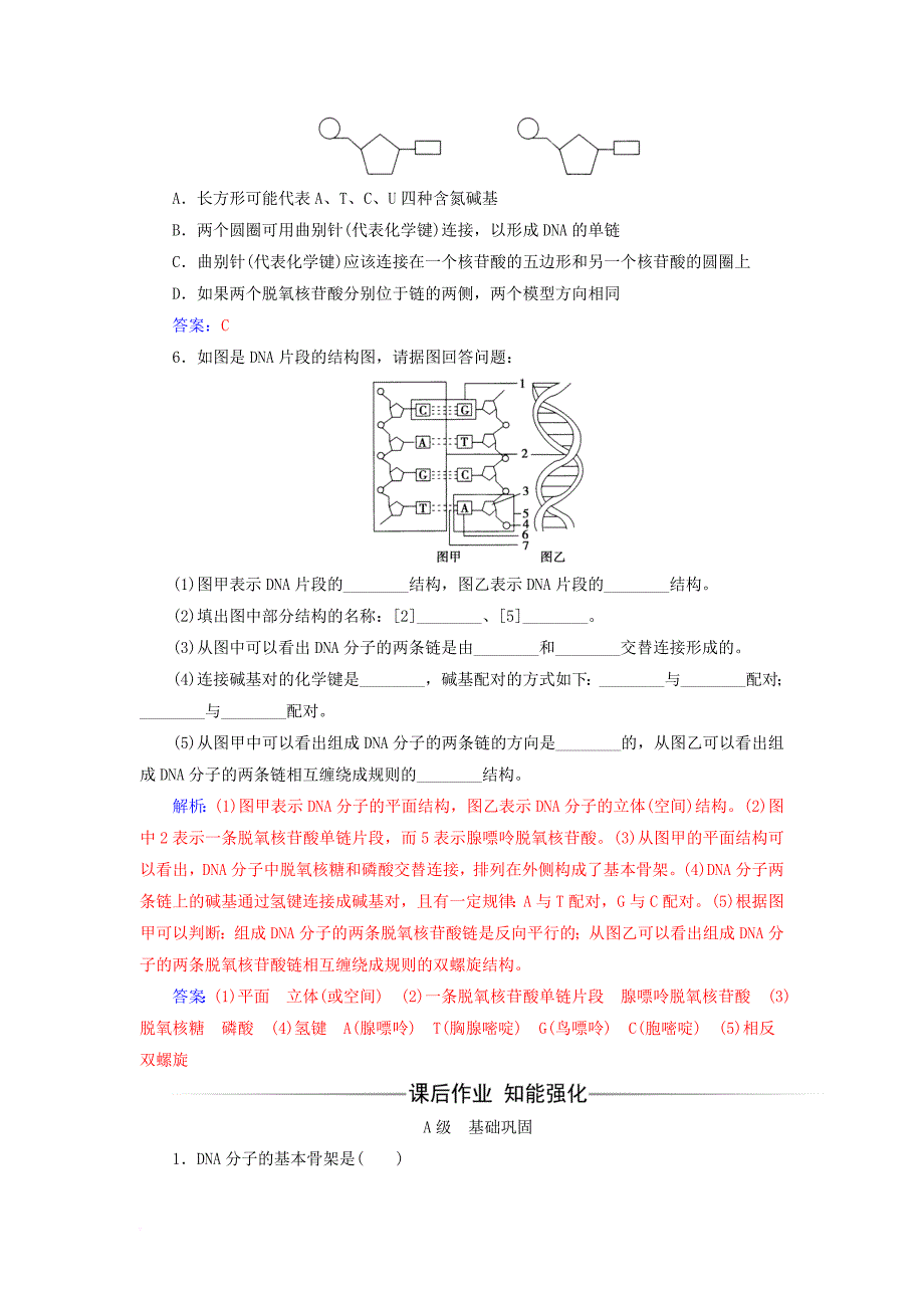 高中生物 第3章 基因的本质 第2节 dna分子的结构练习 新人教版必修2_第2页