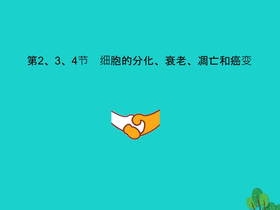 四川省成都市高考生物第六章细胞的分化细胞的衰老和凋亡细胞的癌变课件必修1_第1页