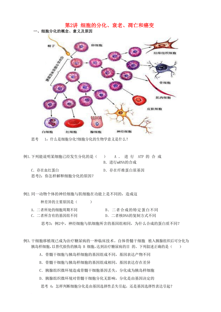 2018版高中生物总复习第6章细胞的生命历程第2讲细胞的分化讲义新人教版必修1_第1页