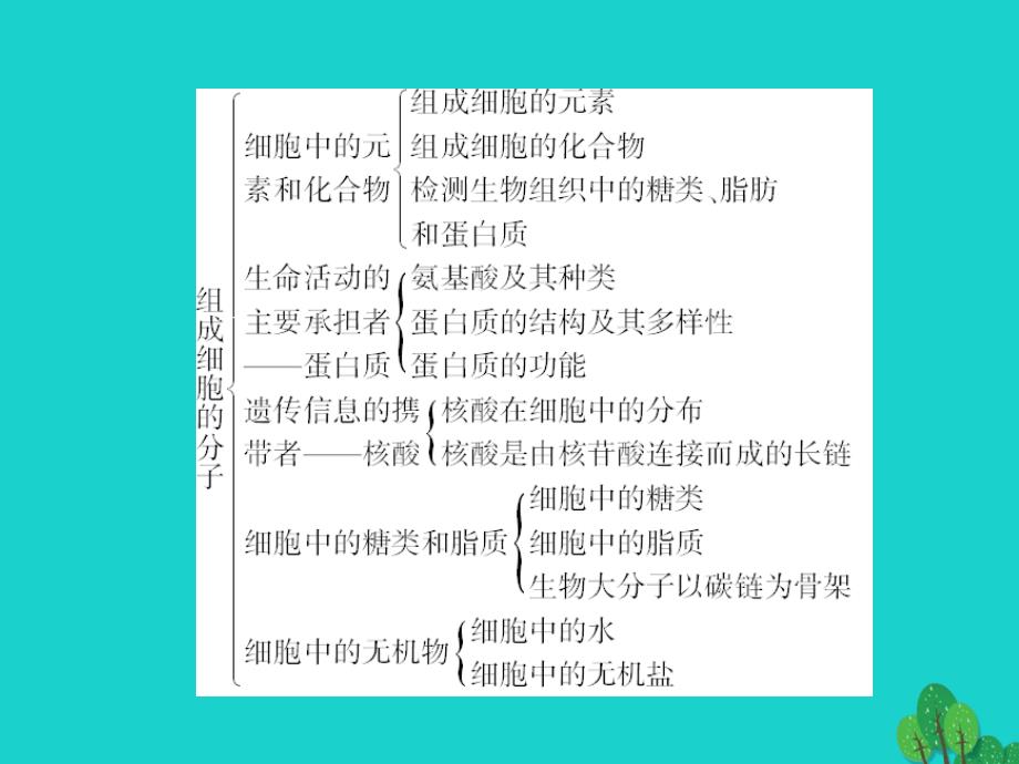 高中生物 第二章 组成细胞的分子小结课件 新人教版必修1_第3页