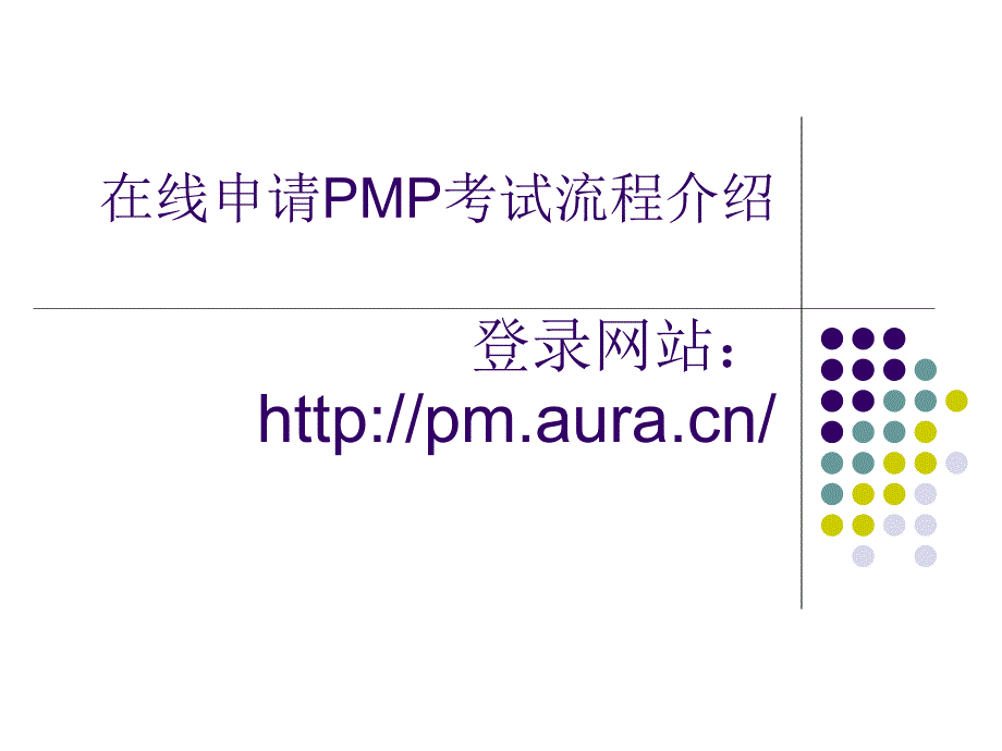 在线申请pmp考试流程及注意事项(20070623)_第1页