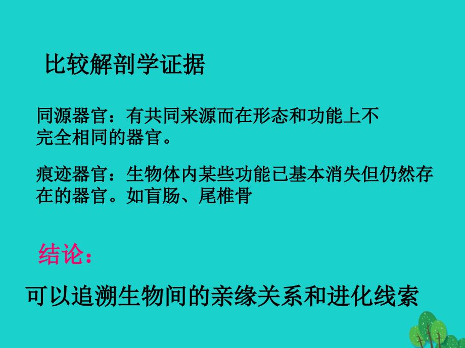 高中生物 第三册 第9章 生物进化 9_1 生物的进化课件 沪科版_第4页