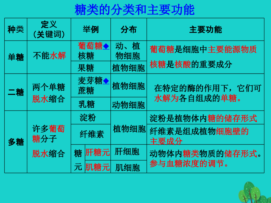 高中生物 第一章 细胞的分子组成 1_3 有机化合物与生物大分子课件 浙科版必修11_第4页