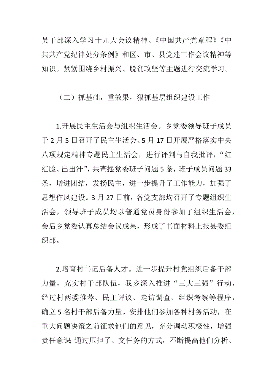 xx乡镇2018年度党建工作汇报材料_第2页