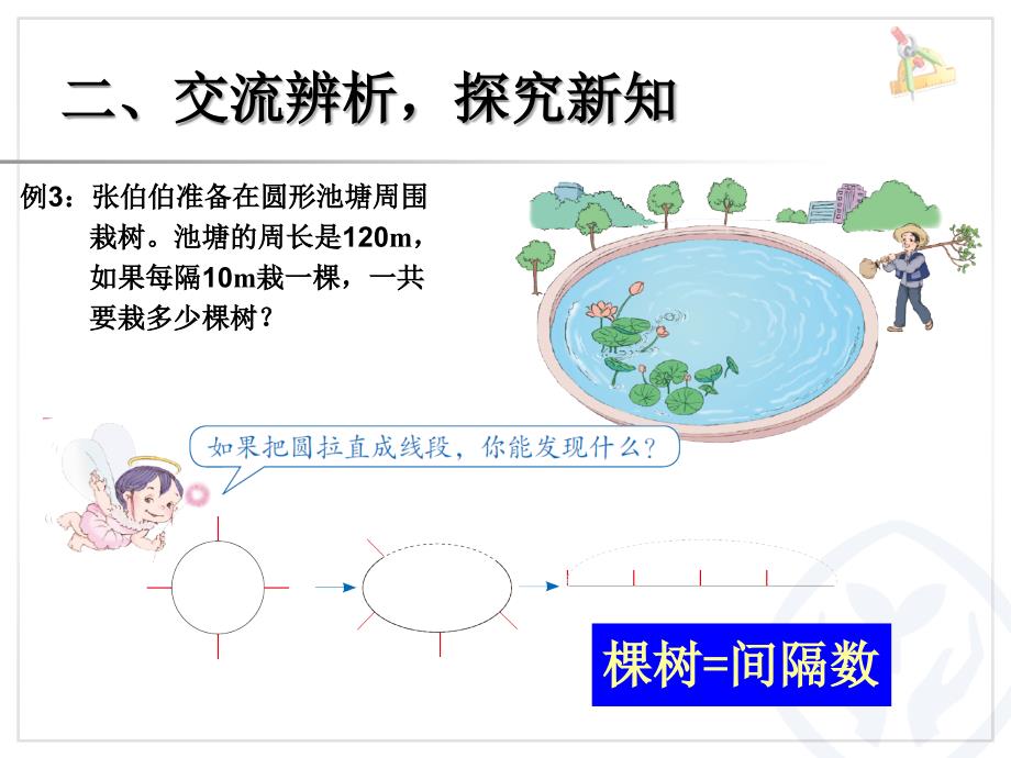 3、植树问题 例3(封闭图形)_第4页