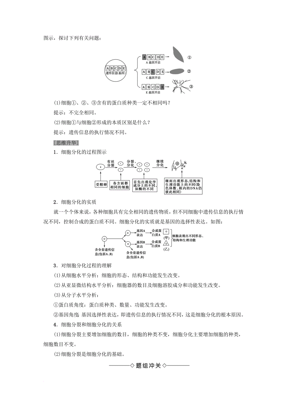 高中生物 第4章 细胞的增殖与分化 第2节 细胞的分化学案（无答案）浙科版必修1_第2页