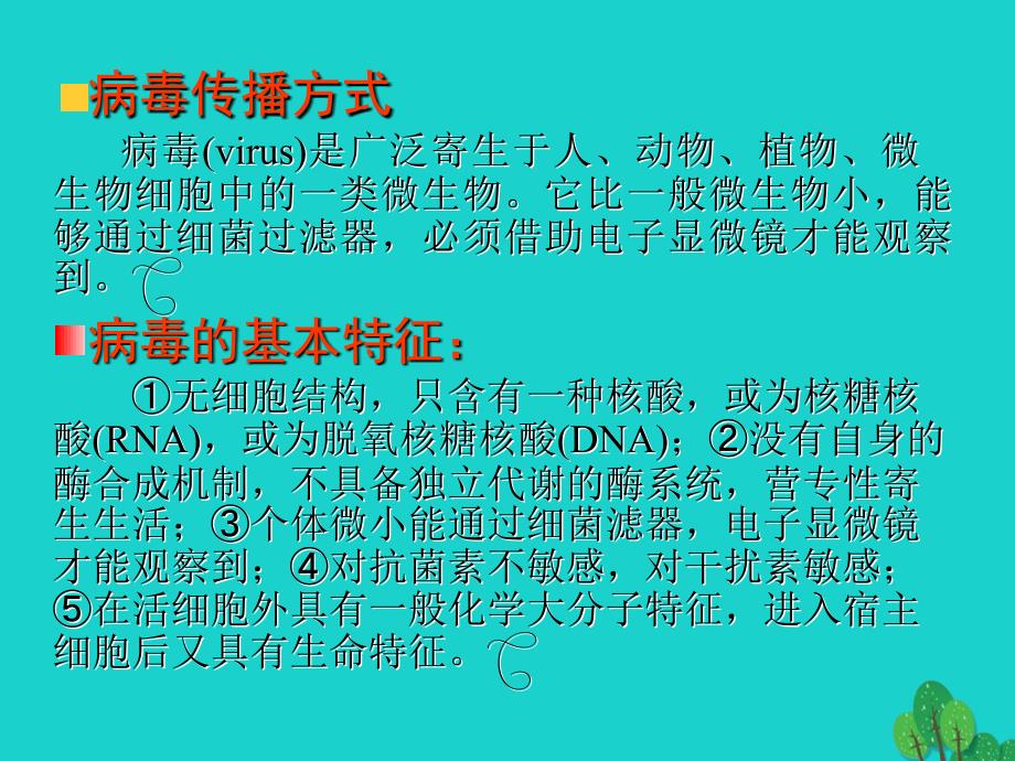 高中生物 第一册 第3章 生命的结构基础 3_3 非细胞形态的生物——病毒课件（1）沪科版_第2页