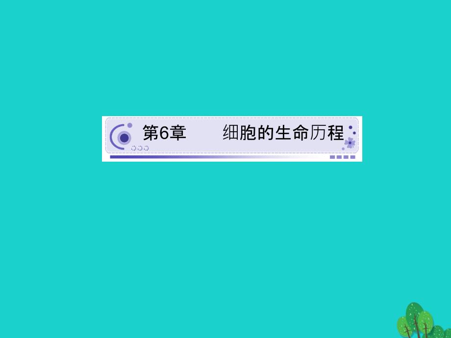 四川省成都市高考生物第六章细胞的增殖课件必修1_第1页