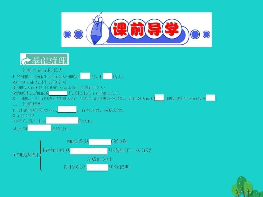 四川省成都市高考生物第六章细胞的增殖课件必修1_第5页