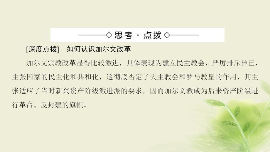 高中历史 第五章 欧洲宗教改革 3 欧洲宗教改革的发展课件 北师大版选修1_第5页