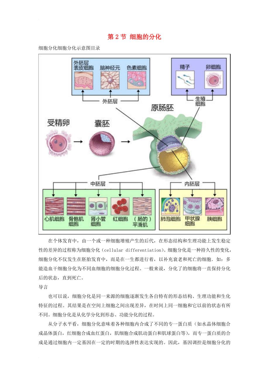 2017高中生物第四章细胞的增殖与分化4_2细胞的分化2素材浙科版必修1_第1页