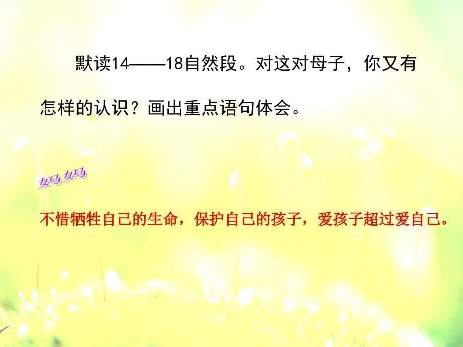 《小麻雀》教学课件2_第5页