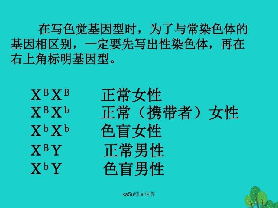 高中生物 第三册 第8章 遗传与变异 8_2 伴性遗传课件（4）沪科版_第5页