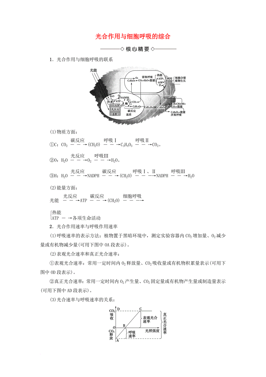 高中生物 第3章 细胞的代谢 微专题突破 光合作用与细胞呼吸的综合学案（无答案）浙科版必修1_第1页