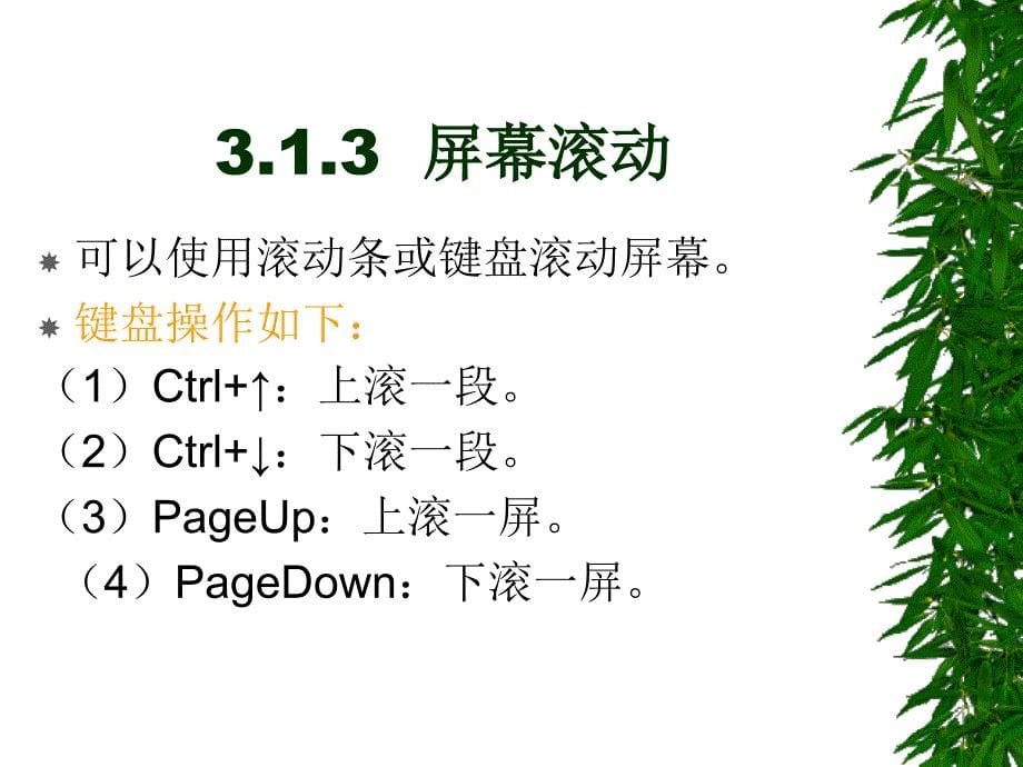 word2003,excel2003,ppt2003三合一教程3_第5页