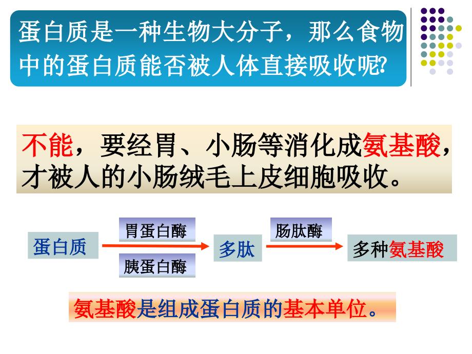 生命活动主要承担者蛋白质(2课时)_第4页