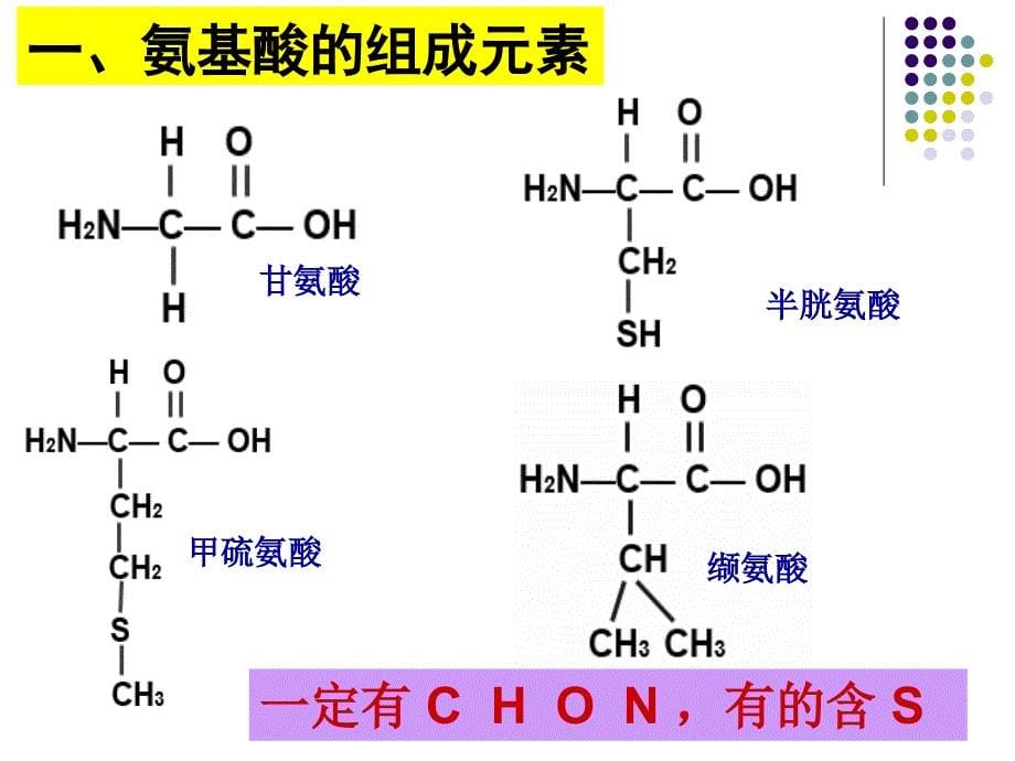 生命活动主要承担者蛋白质(2课时)_第5页