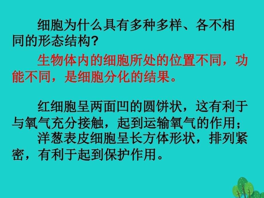 高中生物 第一章 走近细胞 1_2 细胞的多样性和统一性课件 新人教版必修11_第5页