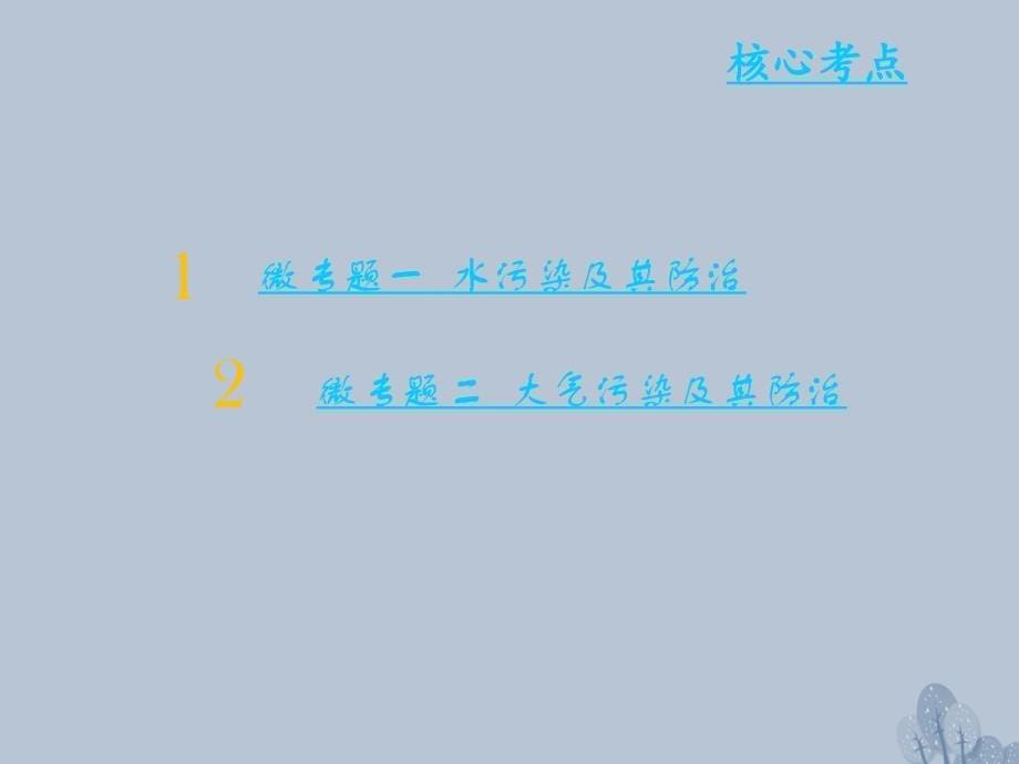 高三地理一轮复习 第十五章 环境保护 第四节 环境污染及其防治课件 新人教版_第5页